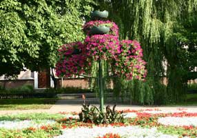 ���� �����  � ��� ���� �������������