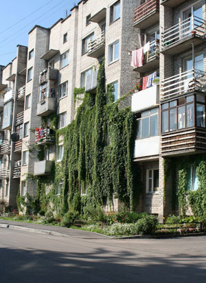 ��� ���������� ��������� �����?