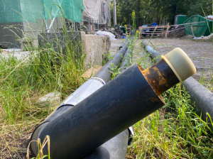 �������� ��������� �� ��������� ������ 10-12 ��������� � ������������� ������