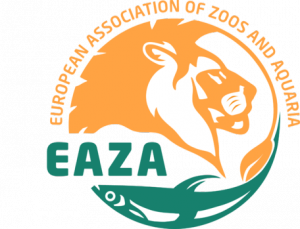 ��������������� ������� ����� ����� ������������ ������ ����������� ���������� ��������� � ����������