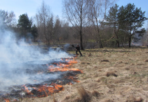 �� ����� ������������� �����