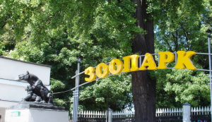 �� ����� ��������� ����� � ���� � �������� ����� ��������� ����� ��������