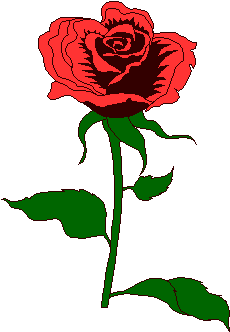 �������  �  �����  �������������!