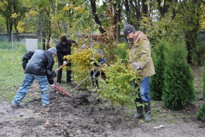 �� 66 �������� ����� ������� ������ �� ����� ���� � 25 �� ����� ����������� 