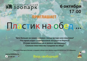 06.10.2017    -      ,       ! 