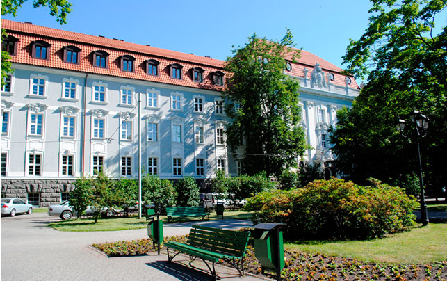 ���� ����������� �����