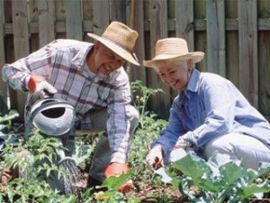 ���� ��������� �����������