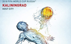  : 95  ,           2018 ,     .