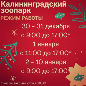 ��������������� ������� ����������