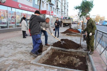 29  2016 -                    .