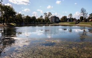 �� ����� �������� � ������� ������