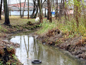 ������� � ��� ����� ����