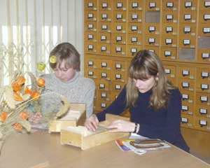 ������������ ���������� � �������