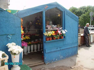 ���� ���������� � ���������� ����������