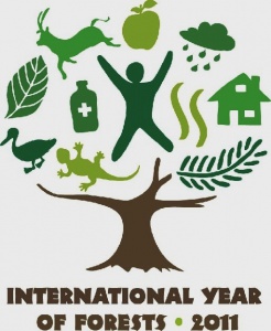 �������� ���� �� �������� ��������