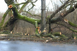 ����������� � � ������ ���������� ����������