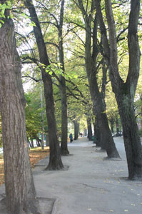 ��������� �������� ������ � �������