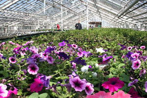 ���������� ����� ��������� ������ � ��������� 