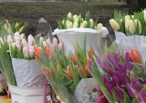 �� �������� � ��������� ����������� ����� ������ 