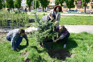 �������� � �� ������ ���������������