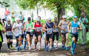 ���������� ������� ������� 