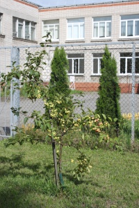  � ������������ ��������� XI ��������� ��������������� ����� 