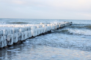 ��������: ������ ������� �����������!