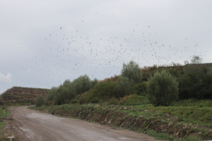 ���������� ������ �� �������� �������������