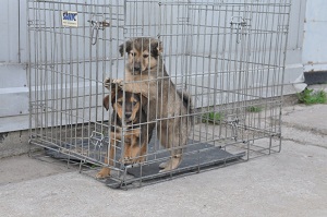 �������� � �������� ������