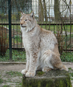 �������� ����� � ������ �������� 