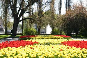 � ������� � ���������������