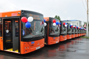 ��� ������������-�������� ���������� �����������. ���������� �������� ����������