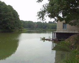 ������ � ��������� ��������