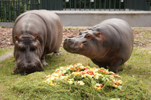 ��������� ��������� � ��������