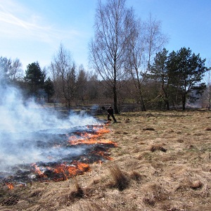 ������ ��� ��������