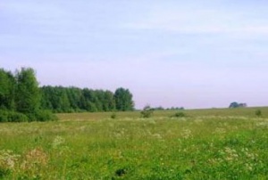 ������ ���������� ������� ��� ����������� ����� �� ������� �� ���������� �����