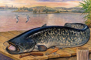 ����� ������: ����� ������ ����������� � ������������ ����� ������.