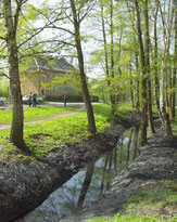 ��� �� ����� � ������� ������� 