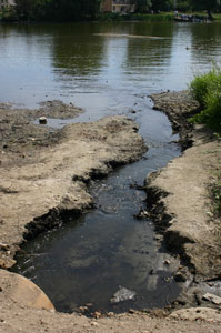 ������������ �������� ����� - ������������ ������������� �������� �� ���������� ����� ������ 