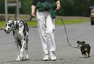 ������� �� ����� �������� ������ ��� ������