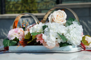 �������� �������������� ������� �������� �������� �����