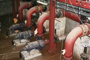 ������� ���� �� �������� ��� 