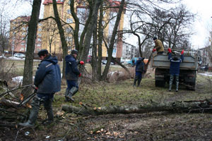 ������� ���������� ���������� ����������� �� ���������