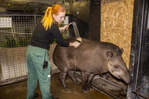 ������� ������� �������� � ���������������