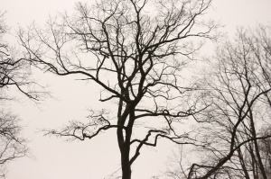 ����������, ������! ����� �����������!