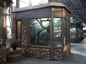 ����� ������ ������