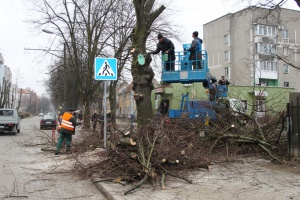 ������������ �����: ������������ ���������� ����������� �������������� ��������� ������� � ������������� �������������� 