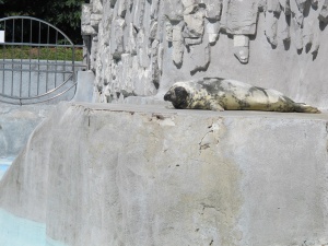 ������ � �� ����!