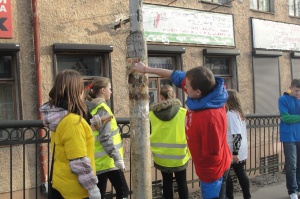 ����� ���������� ������� �������� � 2016 ����