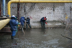 ���� ������� ��������